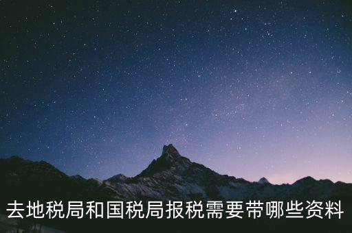到國稅報(bào)稅需要什么，去地稅局和國稅局報(bào)稅需要帶哪些資料