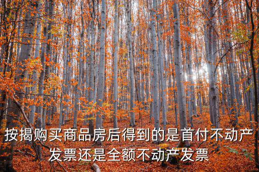 什么是全額不動(dòng)產(chǎn)發(fā)票，想問一下購房全額發(fā)票到底是什么的侯才開是在交房的時(shí)侯還是辦