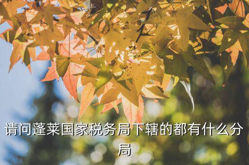 國(guó)稅局分局有什么，豐縣國(guó)稅局有幾個(gè)分局