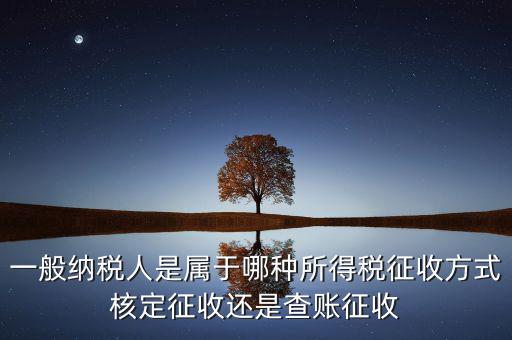一般納稅人屬于什么，什么是一般納稅人
