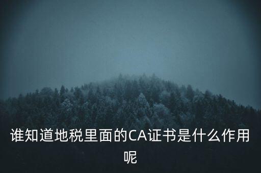 地稅的ca證書是什么，什么是聯(lián)通ca證書地稅ca證書