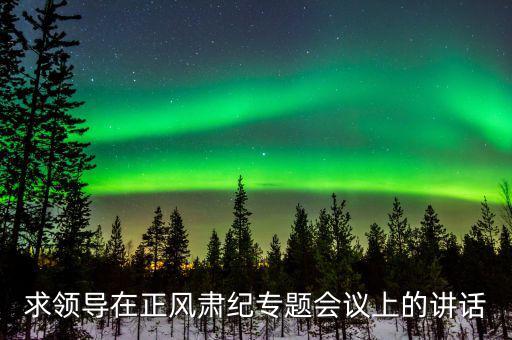 正風(fēng)肅紀(jì)講話什么意思，求領(lǐng)導(dǎo)在正風(fēng)肅紀(jì)專題會議上的講話