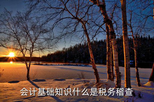 什么是稅收督察內(nèi)審工作，內(nèi)審監(jiān)察主要工作職能