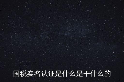 國稅實名制認證要什么，國稅實名認證是什么是干什么的