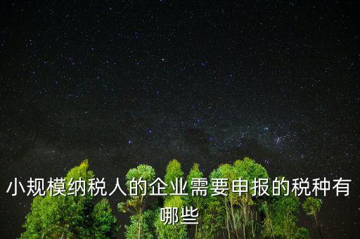 國(guó)稅小企業(yè)報(bào)什么稅，無錫 一般納稅人 小企業(yè)納稅人 國(guó)稅 地稅 分別要報(bào)哪些