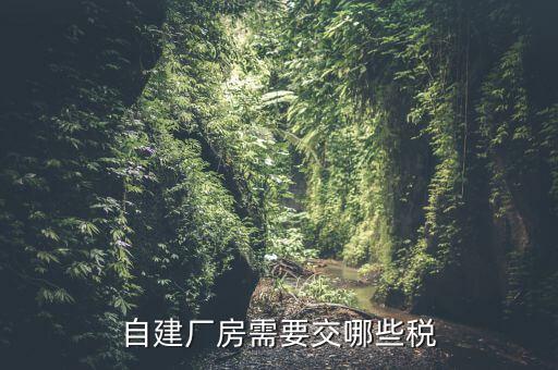 建廠房需要交什么稅，自建廠房需要交哪些稅