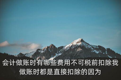 什么不可以稅前扣除嗎，納稅人哪些支出不能在企業(yè)所得稅前扣除