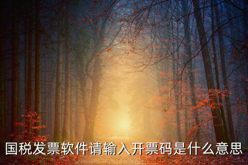 開票二維碼是什么軟件，天津國(guó)稅通用機(jī)打發(fā)票二維碼包含的內(nèi)容解碼軟件