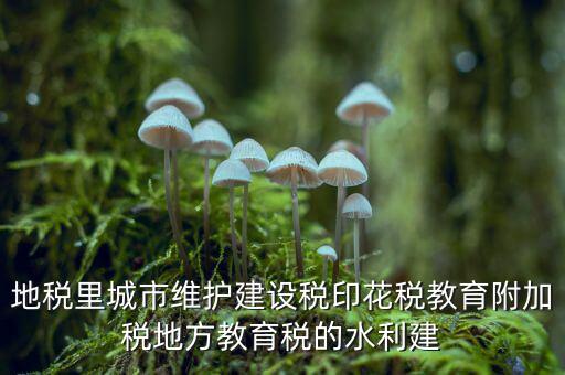水利建設(shè)基金的計稅基礎(chǔ)是什么，計稅基礎(chǔ)是什么意思