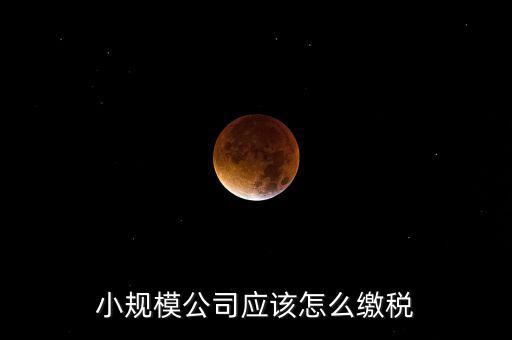 小規(guī)模公司按什么交稅嗎，一個小規(guī)模納稅公司國稅和地稅應該都分別交什么稅