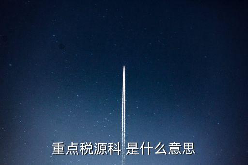 為什么要填重點稅源表，重點稅源的介紹