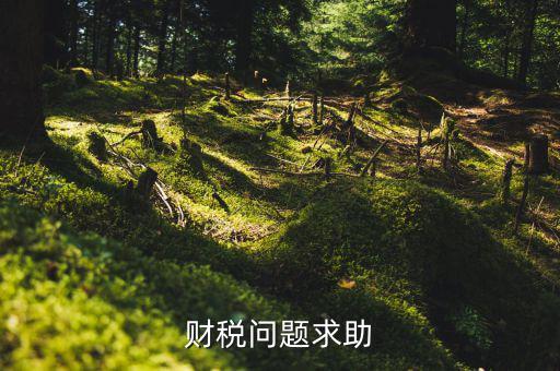 財(cái)稅問(wèn)題是什么，財(cái)稅風(fēng)險(xiǎn)都有哪些