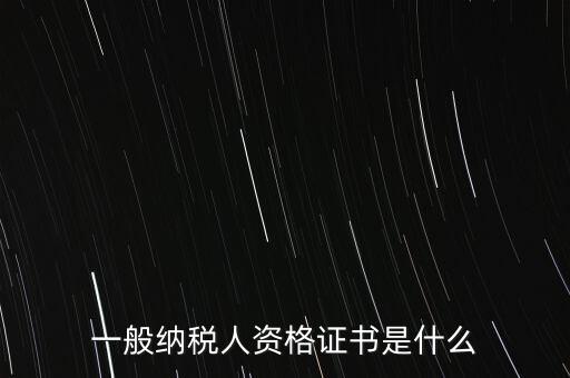納稅資格證書是什么，一般納稅人資格證什么