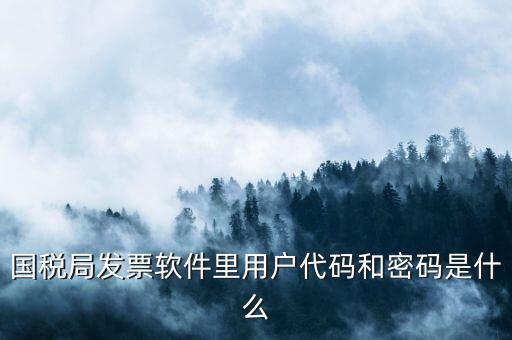網(wǎng)上認(rèn)證發(fā)票平臺(tái)密碼是什么樣的，國稅局發(fā)票軟件里用戶代碼和密碼是什么