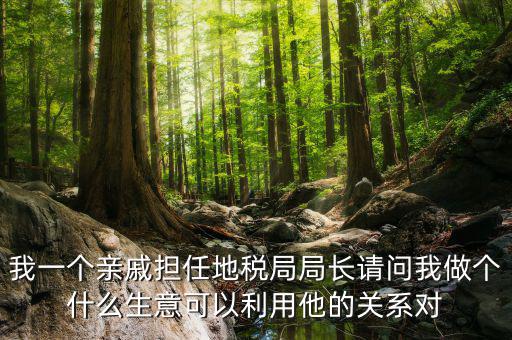 國稅局長可以干什么，東營地稅局局長有多大權力他能管什么啊