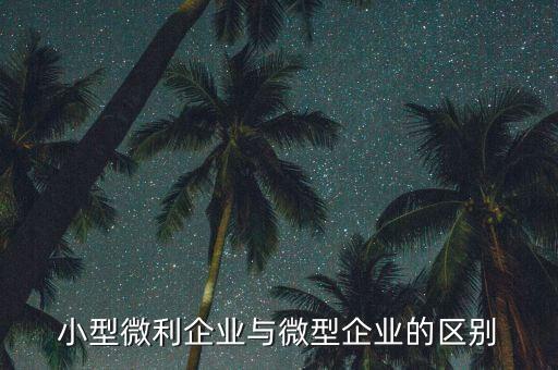 小型微利企業(yè)指的是什么，小型微利企業(yè)與微型企業(yè)的區(qū)別