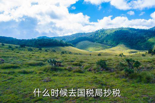 什么時候抄稅報稅，什么時候去國稅局抄稅