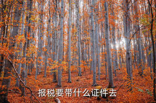 報(bào)稅需要帶什么，你好 到稅務(wù)局報(bào)稅需要帶什么東西怎么報(bào)