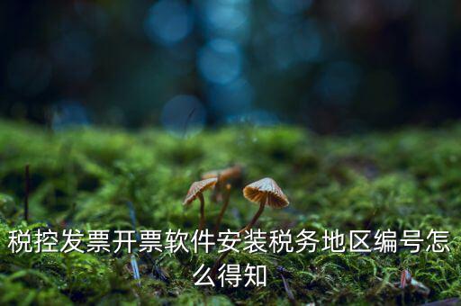發(fā)票地區(qū)編號填什么，稅控發(fā)票開票軟件安裝稅務地區(qū)編號怎么得知