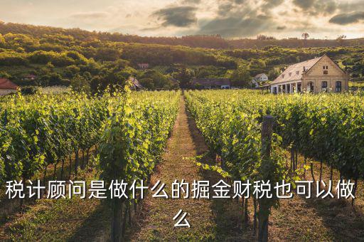 納稅咨詢員是做什么的，稅計(jì)顧問(wèn)是做什么的掘金財(cái)稅也可以做么