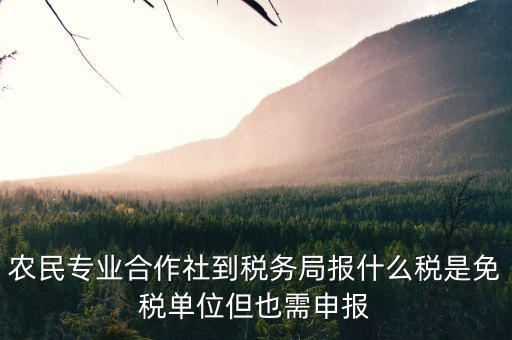 合作社應(yīng)報(bào)什么稅，農(nóng)民專(zhuān)業(yè)合作社是怎樣報(bào)稅的是企業(yè)還是個(gè)體戶(hù)