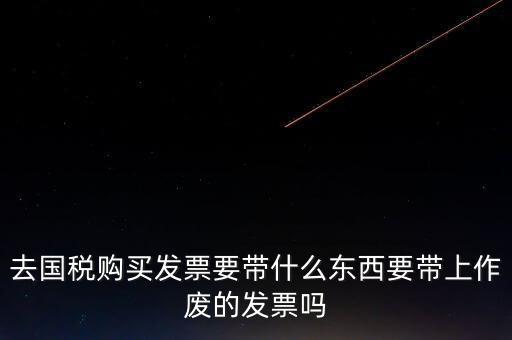 寧波國(guó)稅過(guò)發(fā)票要帶什么東西，去國(guó)稅局做稅票結(jié)報(bào)要帶哪些東西