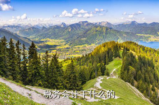 稅務(wù)部門的主業(yè)是什么，稅務(wù)