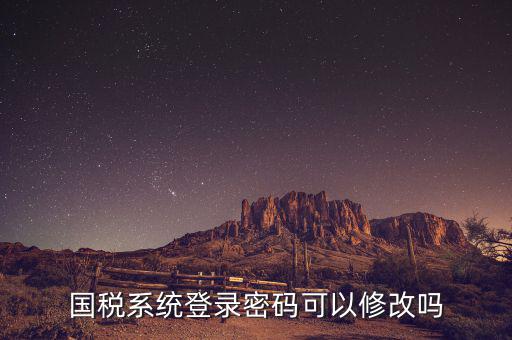 如何修改國(guó)稅申報(bào)登錄密碼是什么意思，國(guó)稅網(wǎng)上申報(bào)密碼忘記了怎么重設(shè)