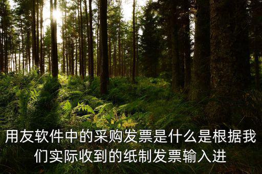 上下游采購(gòu)發(fā)票是什么，用友軟件中的采購(gòu)發(fā)票是什么是根據(jù)我們實(shí)際收到的紙制發(fā)票輸入進(jìn)