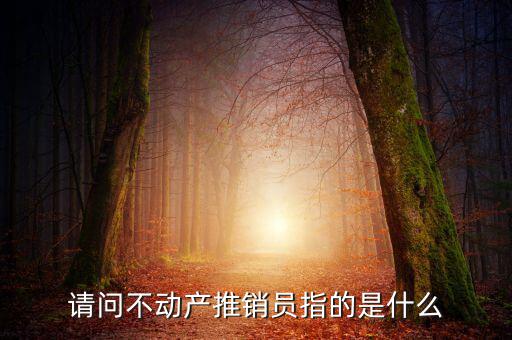 銷售不動(dòng)產(chǎn)指的是什么意思，什么是銷售不動(dòng)產(chǎn)