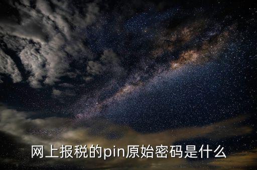 國(guó)稅什么叫pin碼，機(jī)構(gòu)代碼的ca證書的PIN碼是什么我用CA證書登陸國(guó)稅時(shí)提示詳細(xì)