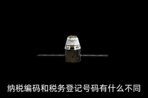 個人納稅編號是什么意思，納稅編碼和稅務(wù)登記號碼有什么不同