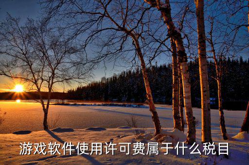軟件使用費交什么稅，軟件使用費應(yīng)開國稅發(fā)票還是地稅發(fā)票