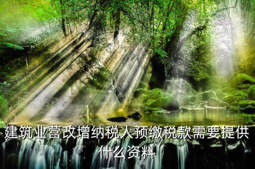 預(yù)繳增值稅要什么資料，在外地有個工程想用人工費發(fā)票增值稅來抵預(yù)交稅款的增值稅需