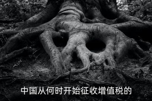 什么時(shí)候征收增值稅，批發(fā)零售業(yè)增值稅征收率什么時(shí)間開(kāi)始為3