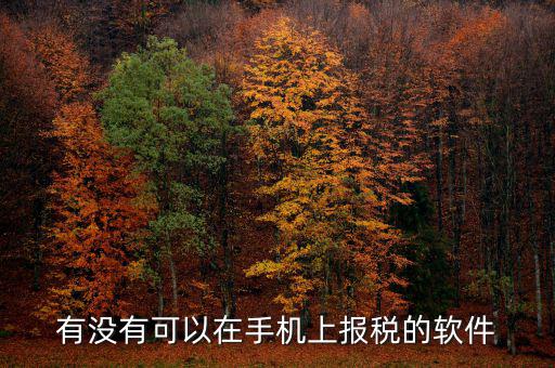 手機(jī)辦稅是什么，賣手機(jī)怎樣納稅