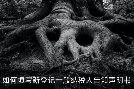 納稅人聲明是什么意思，一般納稅人申報表主表的申明人必須輸入是什么意思