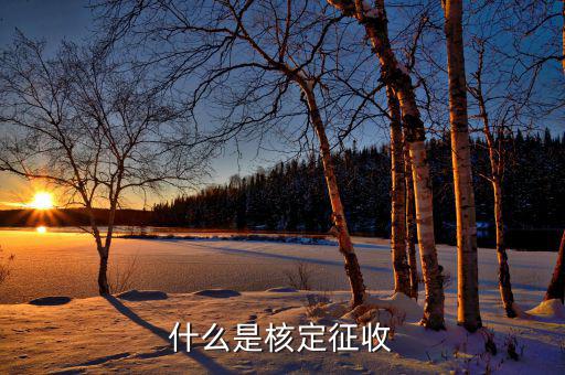 什么是核定征收稅款，核定征收是什么意思