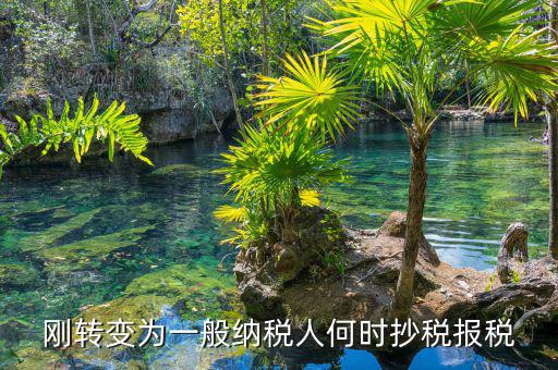 什么時(shí)候抄報(bào)稅，什么時(shí)候去國(guó)稅局抄稅