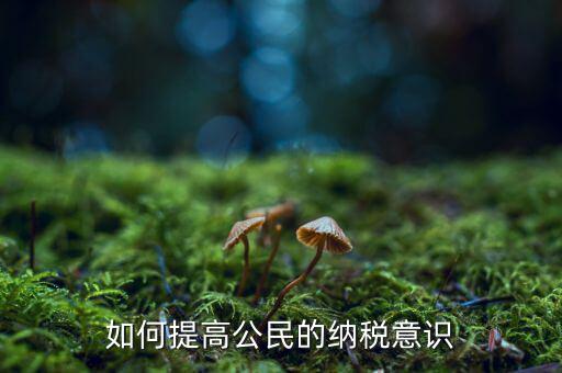 什么是納稅漫畫宣傳，魁拔第一部的投入官方說是3500萬一部動漫為什么投資那么大都花