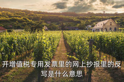 稅控盤反寫是什么意思，開增值稅專用發(fā)票里的網(wǎng)上抄報(bào)里的反寫是什么意思