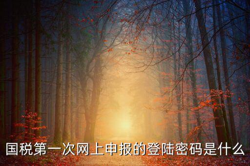 網(wǎng)上稅稅通密碼是什么，國稅第一次網(wǎng)上申報的登陸密碼是什么