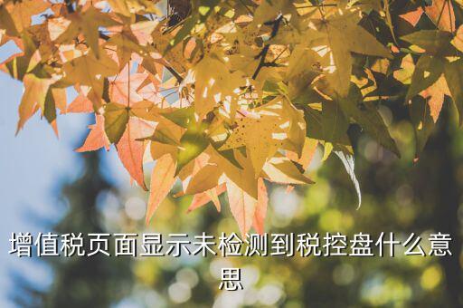 增值稅頁面顯示未檢測(cè)到稅控盤什么意思