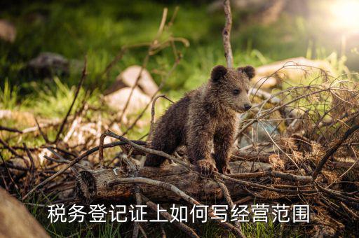 稅務登記證上如何寫經營范圍