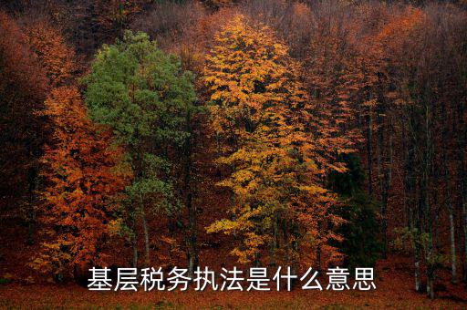 稅務執(zhí)行是什么意思，compliance costs 是什么意思