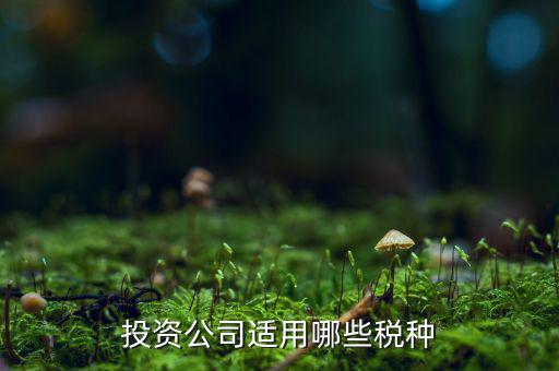 投資款需要交什么稅，投資公司適用哪些稅種