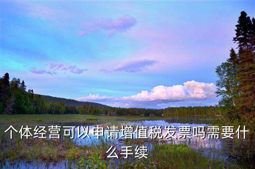個體打印發(fā)票需要什么資料，開個人增值稅發(fā)票需要什么資料