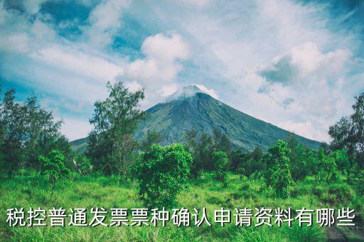 票種核定申請(qǐng)交什么資料，發(fā)票票種核定調(diào)整被拒需要提供什么資料