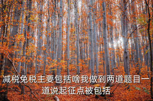 什么是減稅免稅，什么是稅收法定減免