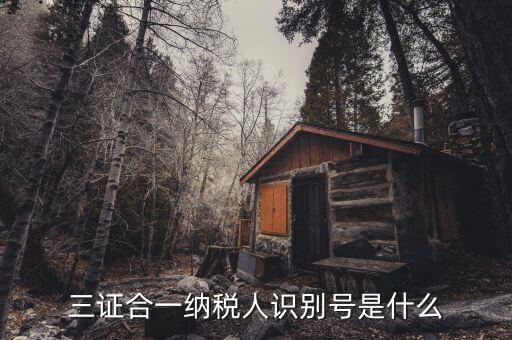 稅號(hào)識(shí)別號(hào)是什么意思，納稅人編碼 納稅人識(shí)別號(hào)有什么區(qū)別